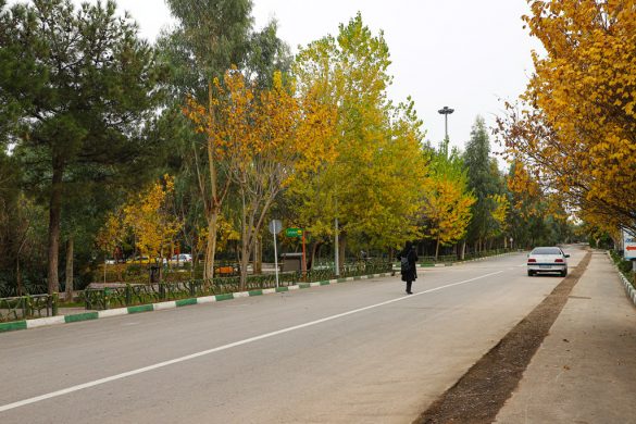 Autumn scenery in Qom parks